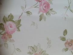 暢銷歐式印花墻紙生產廠家推薦_美蘭壁紙圖片|暢銷歐式印花墻紙生產廠家推薦_美蘭壁紙產品圖片由?？?裝飾工程公司生產提供-